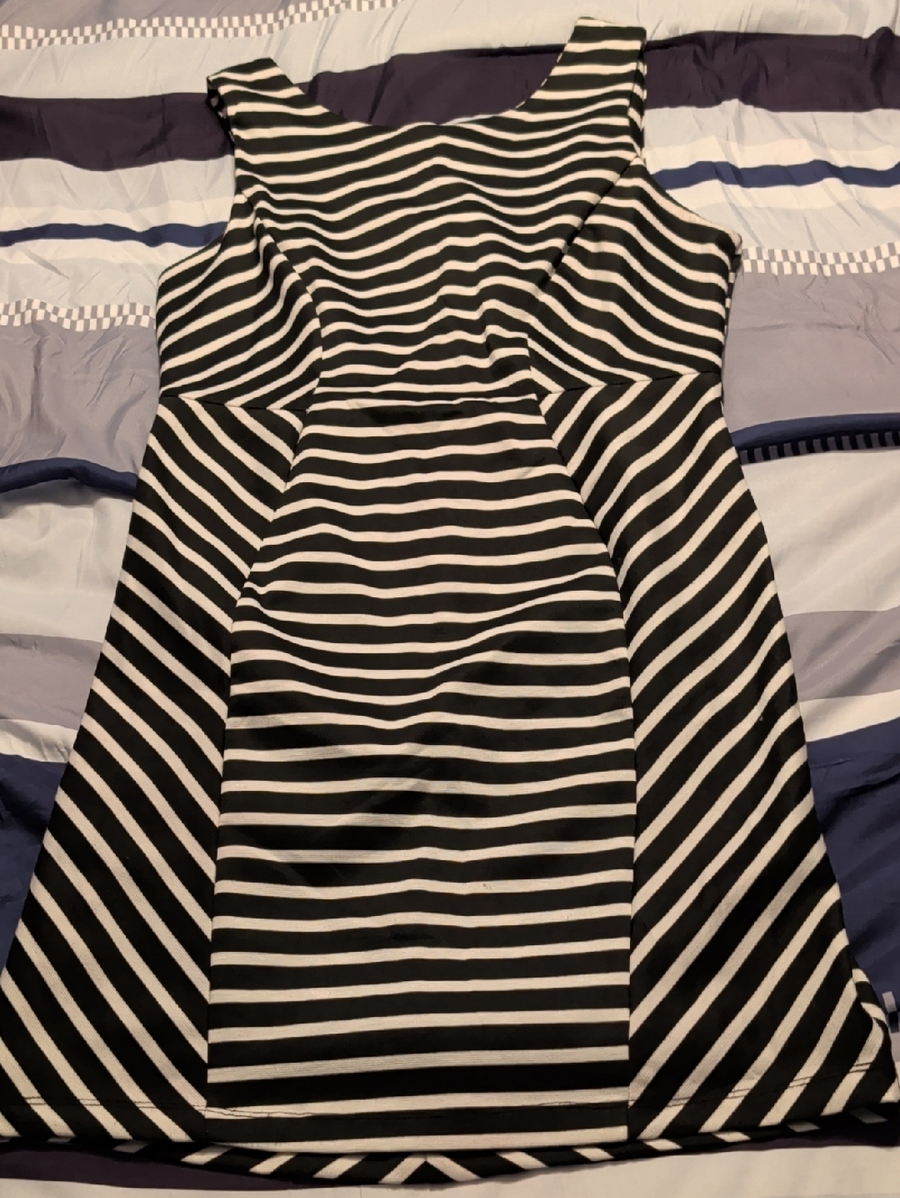 Bisou Bisou Black and White Striped Dress